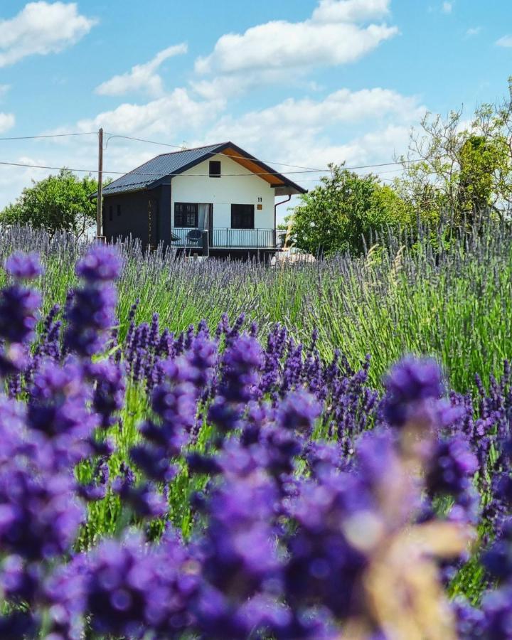 Vacation Home - Nest Kalnik Εξωτερικό φωτογραφία