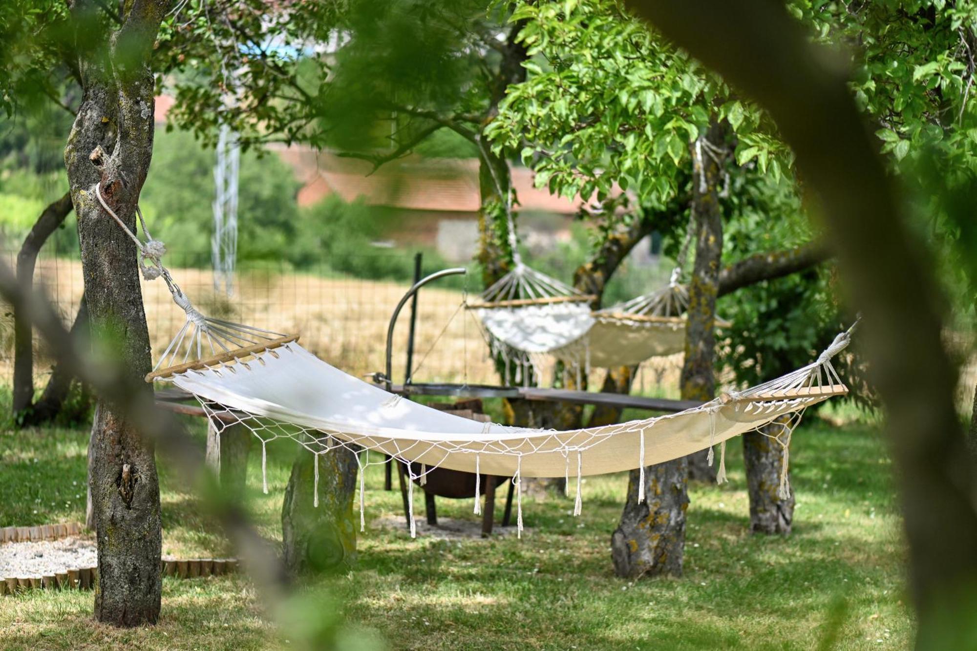 Vacation Home - Nest Kalnik Εξωτερικό φωτογραφία